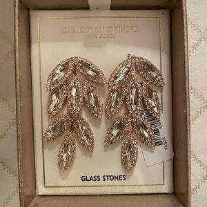 Glass Stone Drop statement earrings